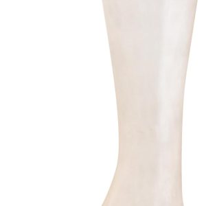 ⁦Charmaine Mid-Calf Ultra Sheer Socks for Women⁩ - الصورة ⁦6⁩