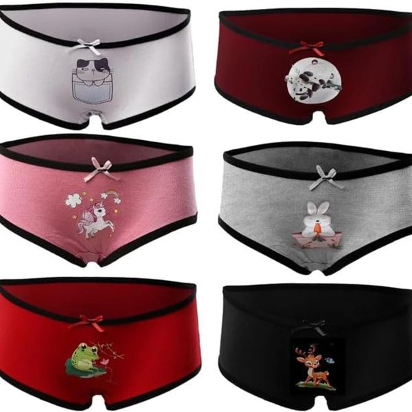 Mesery Set Of (6) Ultra Soft Hipster Panties - For Girls