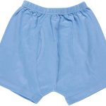 Papillon Boys Cotton Underwear Short Underwear (pack of 1)