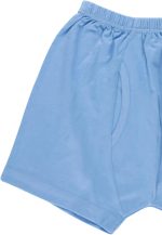 ⁦Papillon Boys Cotton Underwear Short Underwear (pack of 1)⁩ - الصورة ⁦3⁩