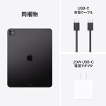 ⁦Apple 13-inch iPad Pro (M4): Ultra Retina XDR Display, 256GB, 12MP Landscape Front Camera/12MP Back Camera, LiDAR Scanner, Wi-Fi 6E + 5G Cellular Communication (eSIM), Face ID, All-Day Battery - Space⁩ - الصورة ⁦6⁩