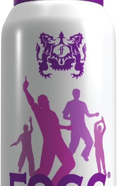 Fogg perfume spray 120 ml - celebrate