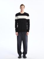 ⁦LC WAIKIKI Men Crew Neck Long Sleeve Striped Knitwear Sweater⁩ - الصورة ⁦4⁩