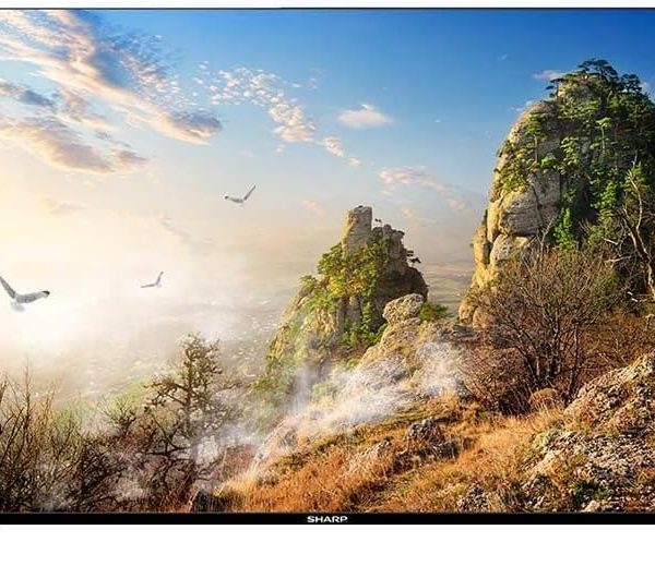 SHARP 4K Smart Deep Chroma Frameless TV 55 Inch 4T-C55FJ16EX