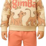 Baby Boys and Girls Set 8 Months to 3 Years Old Comfy Hoodie and Pants Set