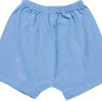⁦Papillon Boys Cotton Underwear Short Underwear (pack of 1)⁩ - الصورة ⁦2⁩