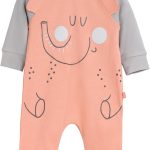 junior Baby Boys Romper Romper (pack of 1)