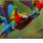 Evolve 32 Inch HD LED Frameless TV -VLD32NA