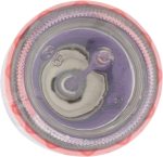 ⁦Malizia Bon Bons Fashion Girl Eau de Toilette Spray for Women, 50 ml⁩ - الصورة ⁦6⁩