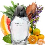 ⁦Avon Perceive for Him Eau de Toilette Spray 100 ml⁩ - الصورة ⁦3⁩