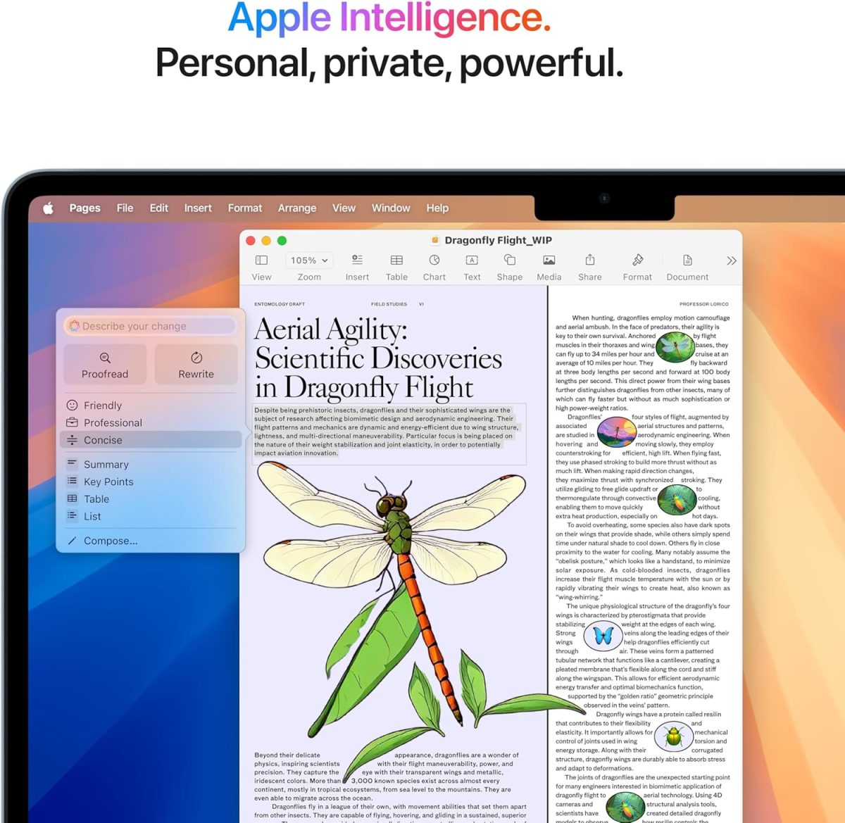 ⁦Apple 2025 MacBook Air 13-inch Laptop with M4 chip: Built for Apple Intelligence, 13.6-inch Liquid Retina Display, 16GB Unified Memory, 256GB SSD Storage, 12MP Center Stage Camera, Touch ID; Sky Blue⁩ - الصورة ⁦5⁩