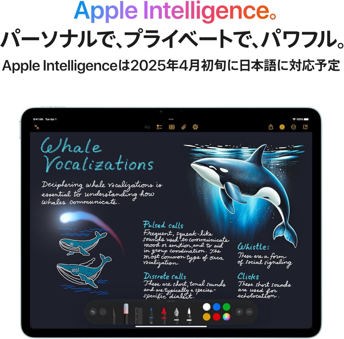⁦Apple 13-inch iPad Air (M3): Designed for Apple Intelligence, Liquid Retina Display, 256GB, 12MP Front/Back Camera, Wi-Fi 6E, Touch ID, All-Day Battery - Space Gray⁩ - الصورة ⁦3⁩