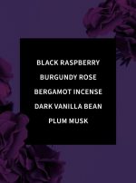 ⁦ميست دارك كيس بحجم السفر من باث اند بودي ووركس، للجنسين، 100 ملليلتر⁩ - الصورة ⁦3⁩