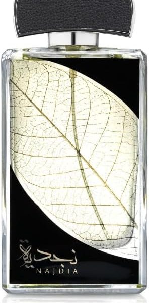 عطر نجديا سلفر من لطافة للرجال - او وي بارفان، 100 مل