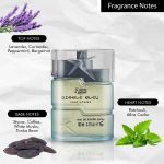 ⁦عطر ديابل بلو او دي تواليت للرجال شرقي وخشبي ذكوري يدوم طويلًا للجسم 100 مل من كرياشن لاميس⁩ - الصورة ⁦3⁩