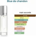 ⁦زيت عطري رول اون من بلو دي شاندون، 12 مل – عطر زيتي مركز ثابت وفواح للرجال – خالٍ من الكحول – مستوحى من بلو دي شانيل الاصلي – عطور رول اون فاخرة للرجال خالية من الكحول تدوم طويلا⁩ - الصورة ⁦2⁩