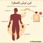⁦مسك الطهارة مع الرمان 12 مل رول اون كحول مجاني من لا بيرفيومز نيتش⁩ - الصورة ⁦3⁩