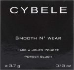 ⁦بودرة خدود سموث ان وير تيري 07 من سيبيل - 3.7 جرام⁩ - الصورة ⁦3⁩