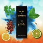 ⁦زيت عطري رول اون من بلو دي شاندون، 12 مل – عطر زيتي مركز ثابت وفواح للرجال – خالٍ من الكحول – مستوحى من بلو دي شانيل الاصلي – عطور رول اون فاخرة للرجال خالية من الكحول تدوم طويلا⁩ - الصورة ⁦4⁩