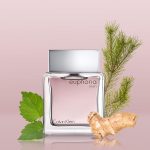 ⁦عطر يوفوريا للرجال من كالفن كلاين - او دي تواليت، 100 مل⁩ - الصورة ⁦2⁩