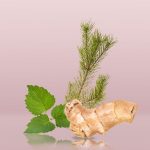 ⁦عطر يوفوريا للرجال من كالفن كلاين - او دي تواليت، 100 مل⁩ - الصورة ⁦4⁩
