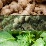 ⁦عطر يوفوريا للرجال من كالفن كلاين - او دي تواليت، 100 مل⁩ - الصورة ⁦3⁩