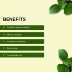 ⁦Yauvanya Sidr(Ziziphus jujuba) Powder | 100% Natural Mild Hair Cleanser | Sidr(Ber) Leaves Powder for Haircare - 100gms | Qasil Powder⁩ - الصورة ⁦4⁩