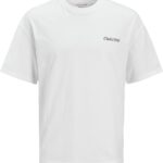 JACK & JONES Men's Bradley Graphic O-Neck Short-Sleeves T-Shirt (pack of 1)