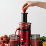 Sokany SK-4001 800W Electric Juicer