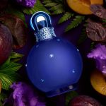 ⁦عطر ميدنايت فانتازي من بريتني سبيرز للنساء - او دو بارفان، 100 مل⁩ - الصورة ⁦8⁩
