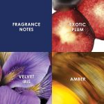 ⁦عطر ميدنايت فانتازي من بريتني سبيرز للنساء - او دو بارفان، 100 مل⁩ - الصورة ⁦3⁩