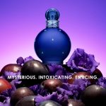 ⁦عطر ميدنايت فانتازي من بريتني سبيرز للنساء - او دو بارفان، 100 مل⁩ - الصورة ⁦6⁩