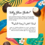 ⁦سائل من ليه كاريتيه للشعر الجاف سعة 250 مل لفك تشابك الشعر، يحتوي على زبدة الشيا مع خاصية الترطيب العميق وتركه على الشعر⁩ - الصورة ⁦7⁩
