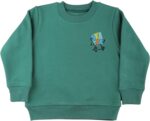 Elsayaad boys Fleece Sweatshirt Hooded Sweatshirt (pack of 1)
