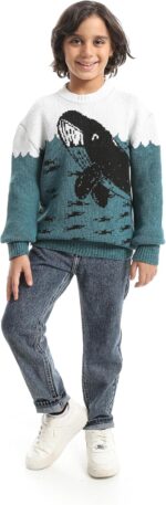 Boys Boys' Dolphin Design Wool pullover Boys' Dolphin Design Wool pullover - الصورة 3