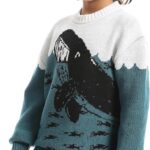 Boys Boys' Dolphin Design Wool pullover Boys' Dolphin Design Wool pullover