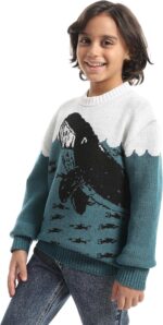Boys Boys' Dolphin Design Wool pullover Boys' Dolphin Design Wool pullover