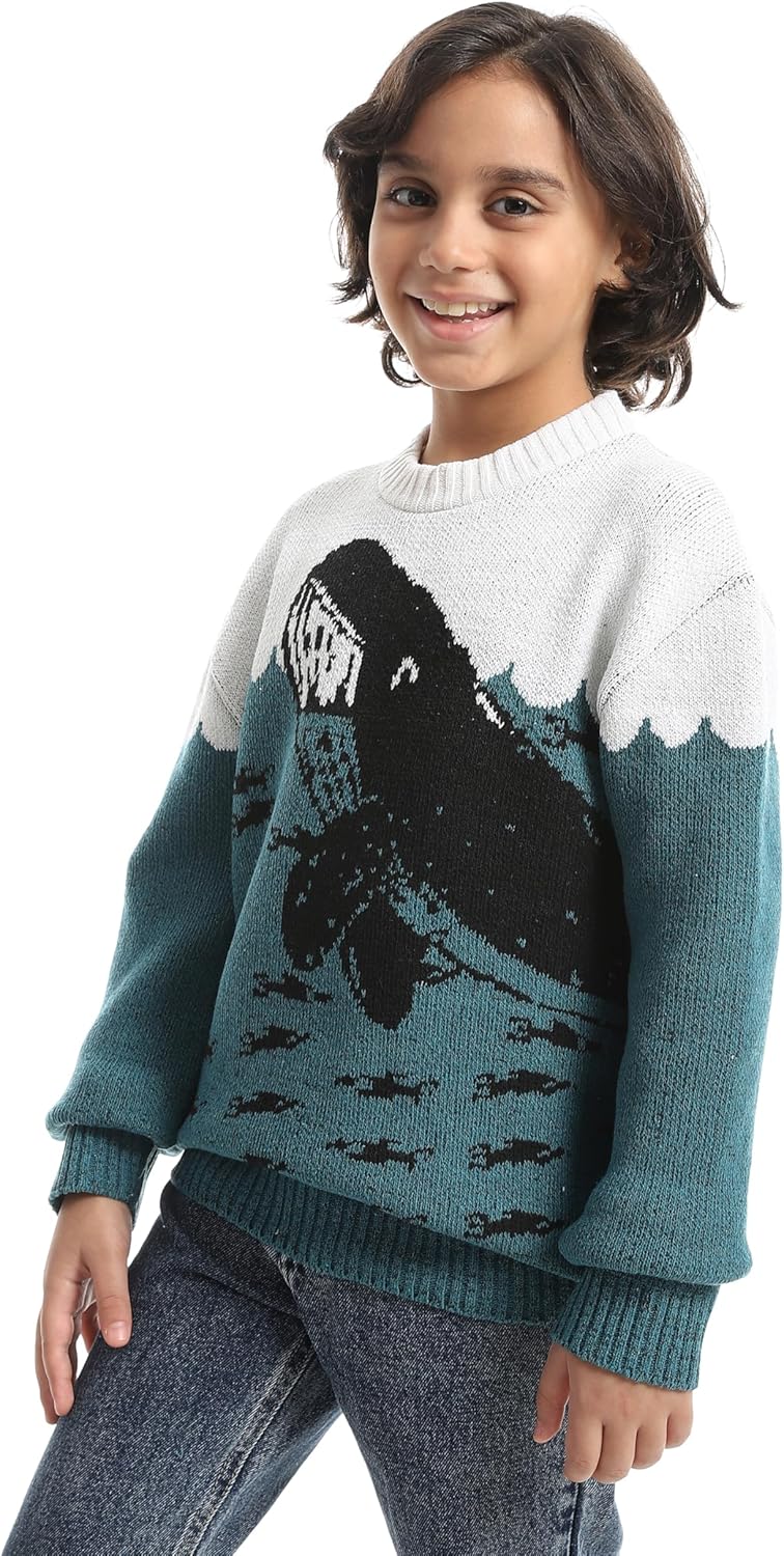 Boys Boys' Dolphin Design Wool pullover Boys' Dolphin Design Wool pullover