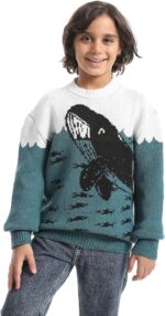 Boys Boys' Dolphin Design Wool pullover Boys' Dolphin Design Wool pullover - الصورة 4
