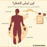 ⁦زيت الفانيليا مسك القرشي للنساء والرجال - 12 مل رول اون من لا - عطر نيش - زيت عطري خام خالٍ من الكحول - عطر الفانيليا الفاخر برائحة قوية وأنثوية⁩ - الصورة ⁦5⁩
