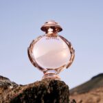 ⁦عطر اوليمبيا للنساء من باكو رابان، 50 مل⁩ - الصورة ⁦9⁩