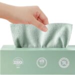 Goodern 20 Sheets Disposable Cleaning Cloths Cleaning Towels Microfiber Towel,Reusable Dish Cloths with Dispenser Box,Lazy Rags Car Wipes,Multi-Purpose Cleaning Cloths for Home Kitchen Hospital-Green
