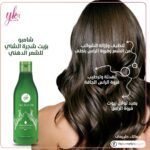 شامبو من واي كي ار للشعر الدهني، مضاد للأكسدة مع مكونات طبيعية من زيت شجرة الشاي، عبوة واحدة سعة 340 مليلتر