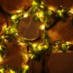 ⁦مصابيح كرمة مع 7 اوضاع بطول 6.5 قدم و30 مصباح LED تعمل بالبطارية ومؤقت للمنزل والمطبخ والحديقة والمكتب والجدار وحفلات الزفاف من واي جيه اف دبليو ايه ال (ابيض دافئ)⁩ - الصورة ⁦6⁩