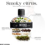 ⁦عطر انتنس نوار 100 مل او دو بارفان من سابيل للأنثى للذكر⁩ - الصورة ⁦2⁩
