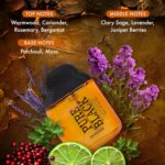 ⁦عطر او دي تواليت ديلوكس بيور بلاك انتنس للرجال من كريشن لاميس برائحة العنبر والبرغموت يدوم طويلًا، للجسم - 100 مل⁩ - الصورة ⁦3⁩