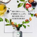 ⁦هيربل اسينسيز بيو: رينيو، حليب جوز الهند، شامبو 400 مل + بلسم 400 مل، ترطيب للشعر الجاف⁩ - الصورة ⁦3⁩