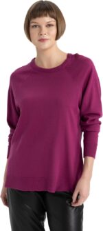 DeFacto womens Relax Fit Long Sleeve Crew Neck Basic Sweater Pullover Sweater (pack of 1)