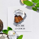 ⁦هيربل اسينسيز بيو: رينيو، حليب جوز الهند، شامبو 400 مل + بلسم 400 مل، ترطيب للشعر الجاف⁩ - الصورة ⁦6⁩