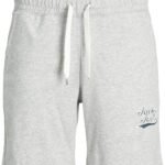 JACK & JONES Mens Jpsttrevor Sweat Shorts Gms Modern